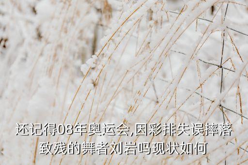 还记得08年奥运会,因彩排失误摔落致残的舞者刘岩吗现状如何