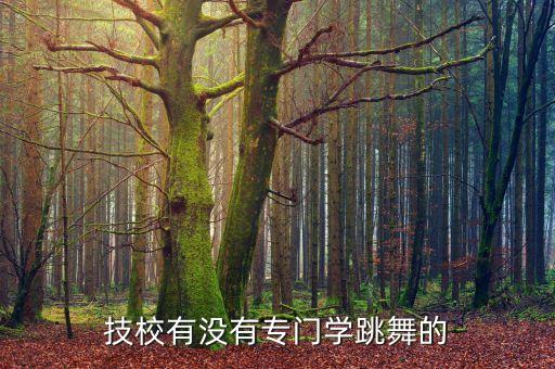 技校有没有专门学跳舞的
