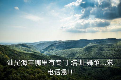 汕尾海丰哪里有专门 培训 舞蹈…求 电话急!!!