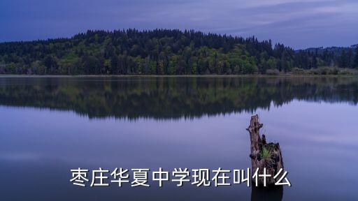  枣庄华夏中学现在叫什么