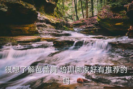 很想了解芭蕾舞 培训哪家好有推荐的吗