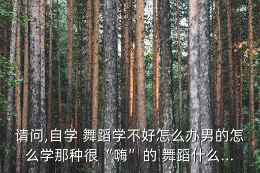 请问,自学 舞蹈学不好怎么办男的怎么学那种很“嗨”的 舞蹈什么...