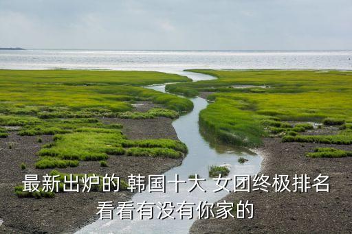 最新出炉的 韩国十大 女团终极排名看看有没有你家的