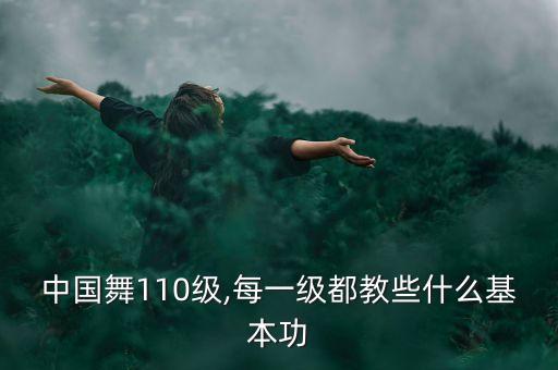 中国舞110级,每一级都教些什么基本功