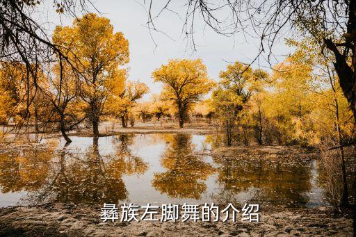  彝族左脚舞的介绍