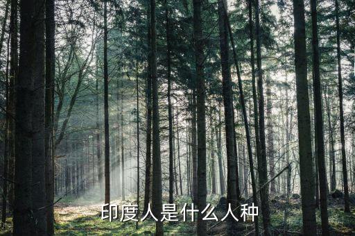  印度人是什么人种