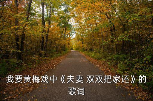 舞蹈妻双双把家还
