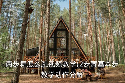 两步舞怎么跳视频教学(2步舞基本步教学动作分解