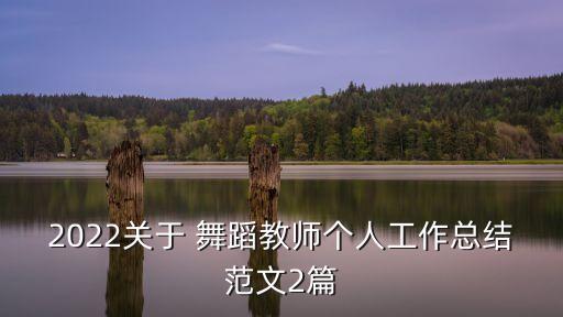 2022关于 舞蹈教师个人工作总结范文2篇