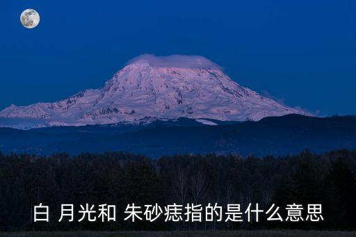 白 月光和 朱砂痣指的是什么意思