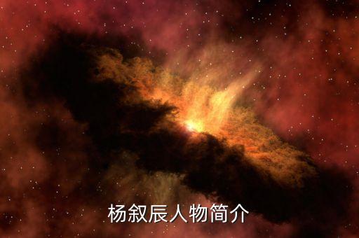 杨叙辰人物简介