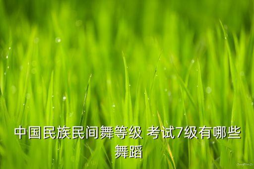 中国民族民间舞等级 考试7级有哪些 舞蹈