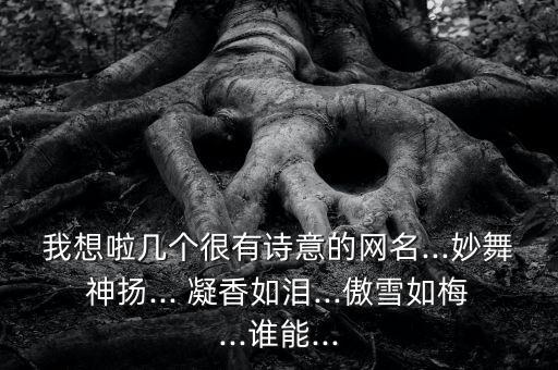 我想啦几个很有诗意的网名...妙舞神扬... 凝香如泪...傲雪如梅...谁能...