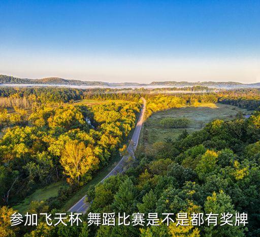 参加飞天杯 舞蹈比赛是不是都有奖牌