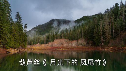 月光f的凤尾竹舞蹈视频,凤尾竹舞蹈视频完整版