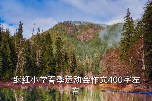  继红小学春季运动会作文400字左右