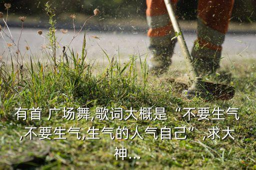 有首 广场舞,歌词大概是“不要生气,不要生气,生气的人气自己”,求大神...