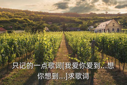 只记的一点歌词[我爱你爱到...想你想到...]求歌词