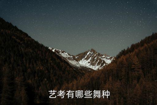  艺考有哪些舞种