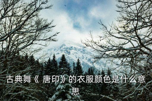 古典舞《 唐印》的衣服颜色是什么意思