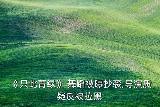 《只此青绿》 舞蹈被曝抄袭,导演质疑反被拉黑