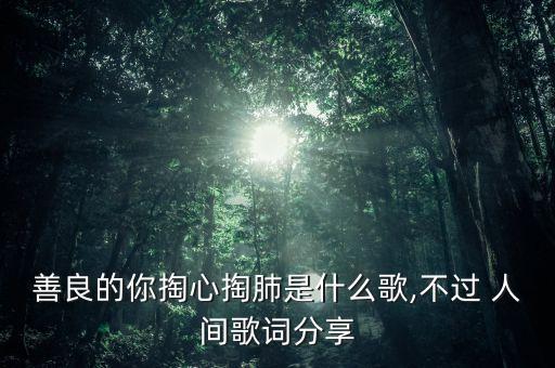 善良的你掏心掏肺是什么歌,不过 人间歌词分享