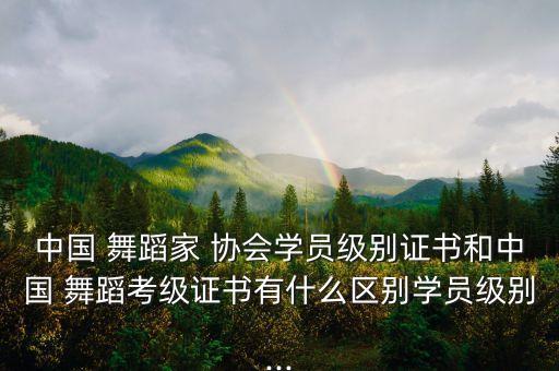 中国 舞蹈家 协会学员级别证书和中国 舞蹈考级证书有什么区别学员级别...