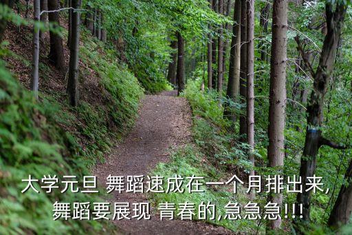 大学元旦 舞蹈速成在一个月排出来, 舞蹈要展现 青春的,急急急!!!