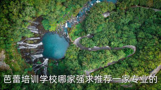 芭蕾培训学校哪家强求推荐一家专业的