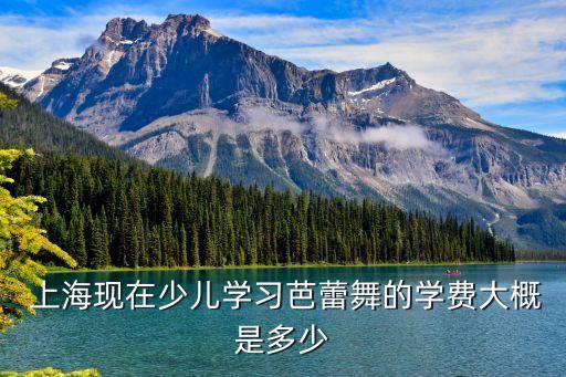 上海舞蹈培训转让信息,办理舞蹈培训公司转让流程