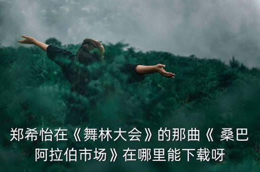 郑希怡在《舞林大会》的那曲《 桑巴阿拉伯市场》在哪里能下载呀