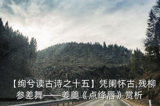 【绚兮读古诗之十五】凭阑怀古,残柳参差舞——姜夔《点绛唇》赏析