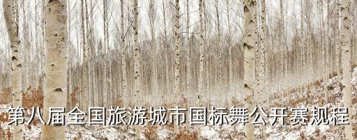 第八届全国旅游城市国标舞公开赛规程