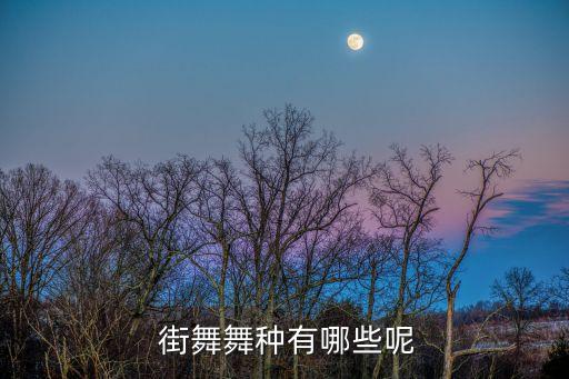  街舞舞种有哪些呢