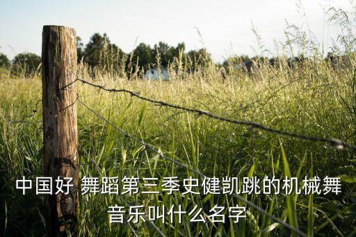 中国好 舞蹈第三季史健凯跳的机械舞音乐叫什么名字