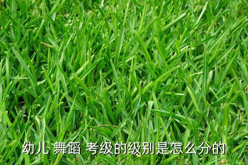 幼儿 舞蹈 考级的级别是怎么分的