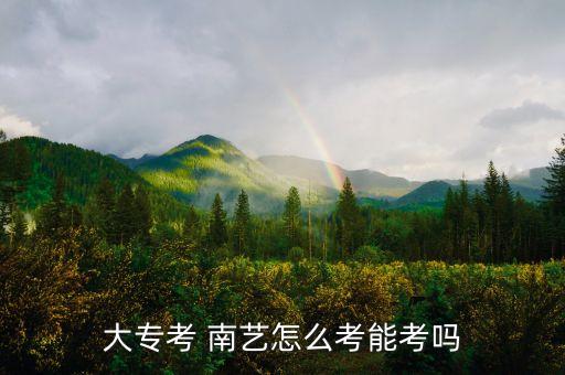 大专考 南艺怎么考能考吗