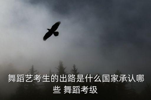  舞蹈艺考生的出路是什么国家承认哪些 舞蹈考级