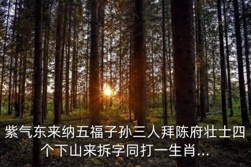 紫紫雨舞蹈两座山