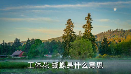 工体花 蝴蝶是什么意思