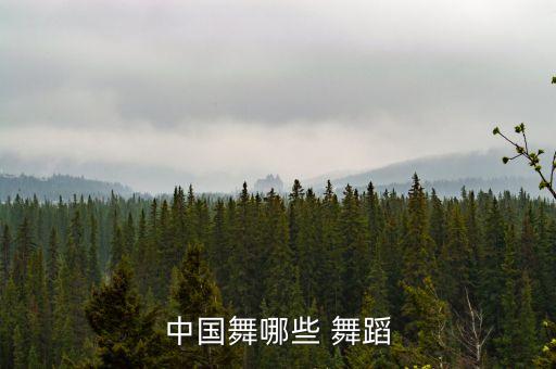 汉族民间舞蹈有哪些,民族舞蹈有哪些