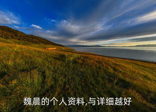 魏晨的个人资料,与详细越好