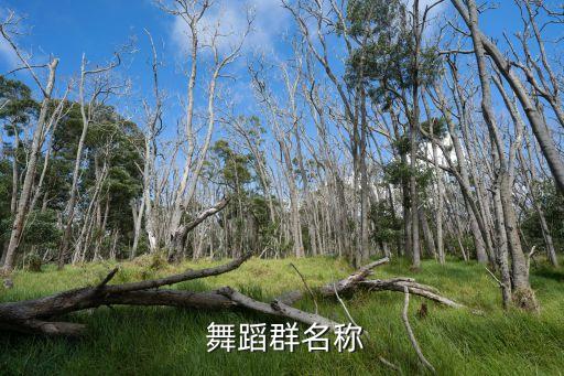  舞蹈群名称