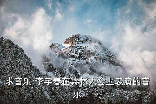 求音乐:李宇春在舞林大会上表演的音乐