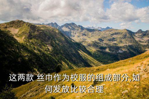 这两款 丝巾作为校服的组成部分,如何发放比较合理