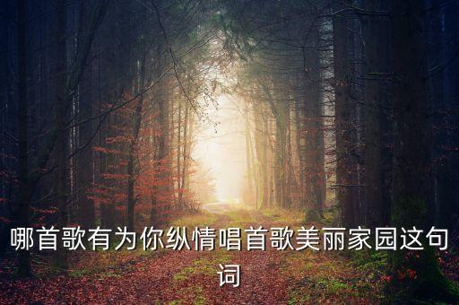 热情的高原舞蹈,广场舞热情的高原背面