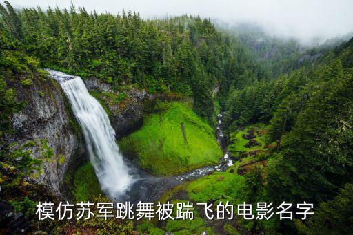 舞蹈动作 腿往后踢 飞