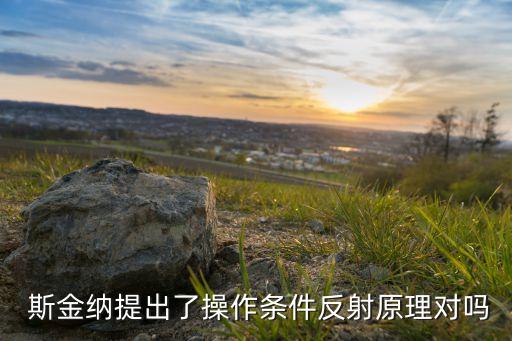  斯金纳提出了操作条件反射原理对吗