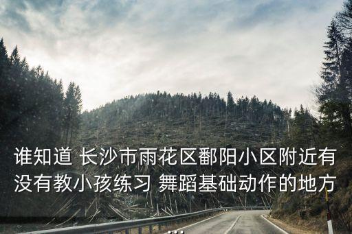 谁知道 长沙市雨花区鄱阳小区附近有没有教小孩练习 舞蹈基础动作的地方...