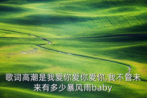歌词高潮是我爱你爱你爱你,我不管未来有多少暴风雨baby